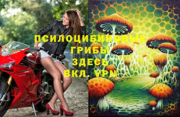 винт Домодедово