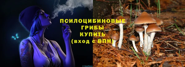 мяу мяу кристалл Весьегонск