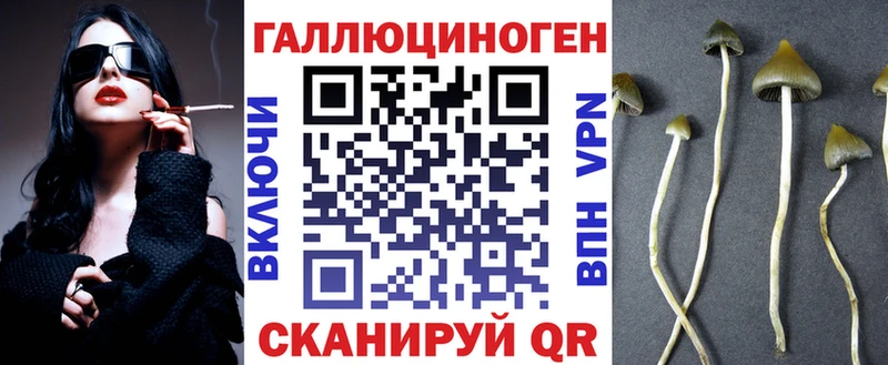 цены наркотик  Каменка  Псилоцибиновые грибы Psilocybine cubensis 