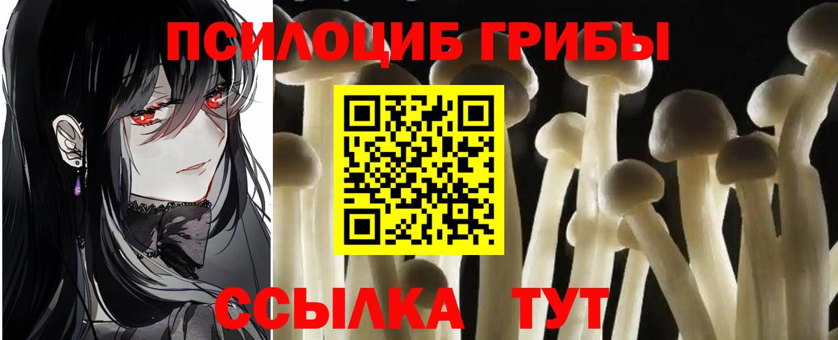 Псилоцибиновые грибы Cubensis  Вход с VPN  Каменка 