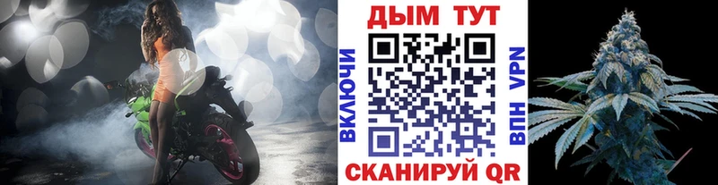 где найти   Каменка  Шишки марихуана тримм 