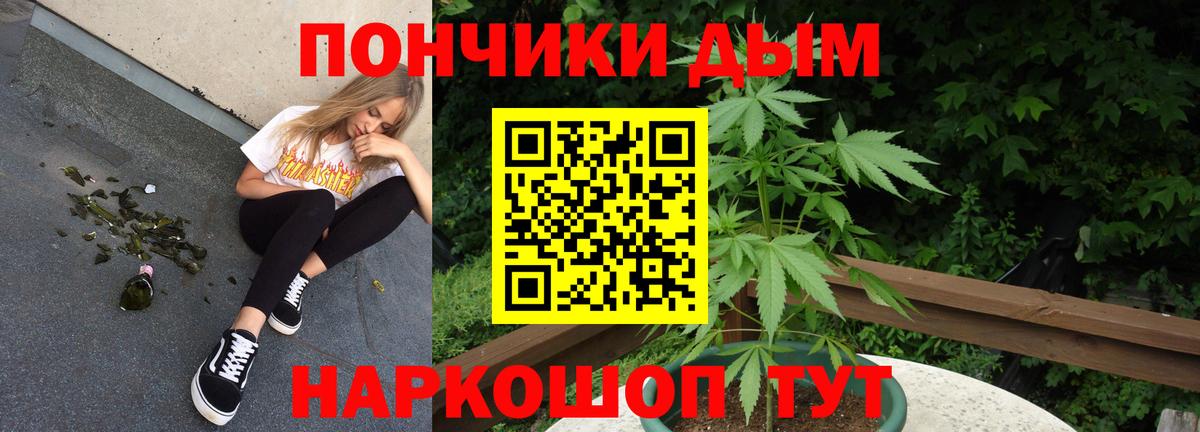 Бошки марихуана сатива Каменка