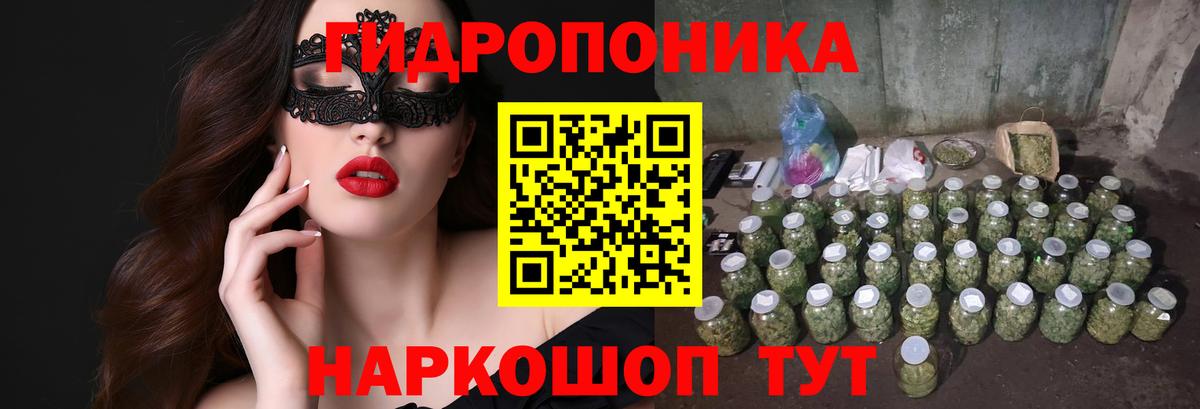 Бошки марихуана семена  Конопля гибрид  Вход с VPN  МАРИХУАНА OG Kush  Каменка 